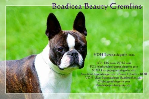 Boadicea Beauty Gremlins